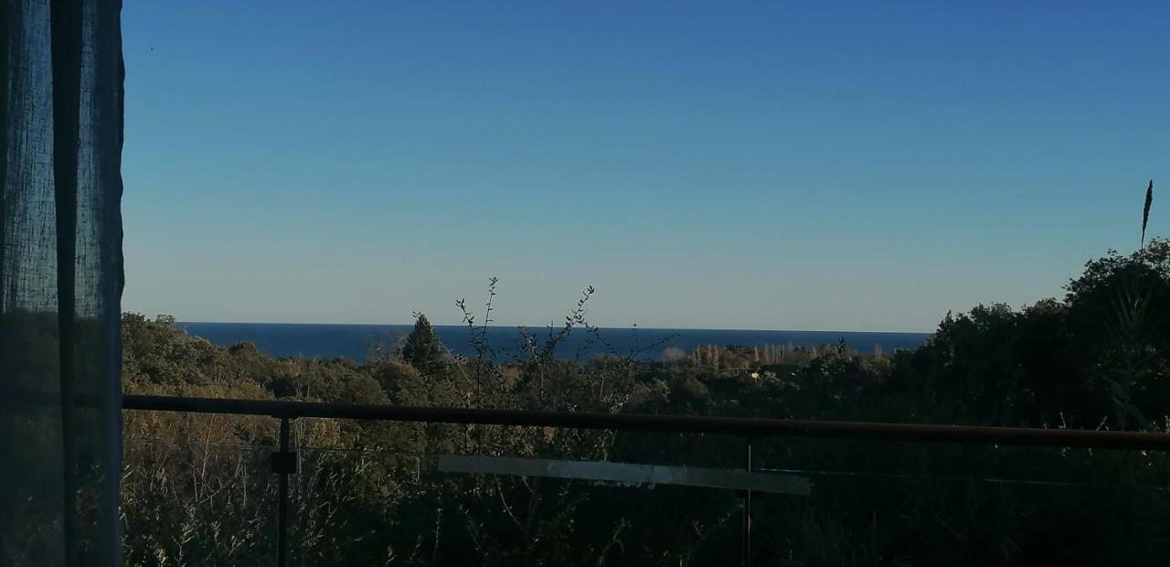 Villa Angelini Valle-di-Campoloro Eksteriør bilde