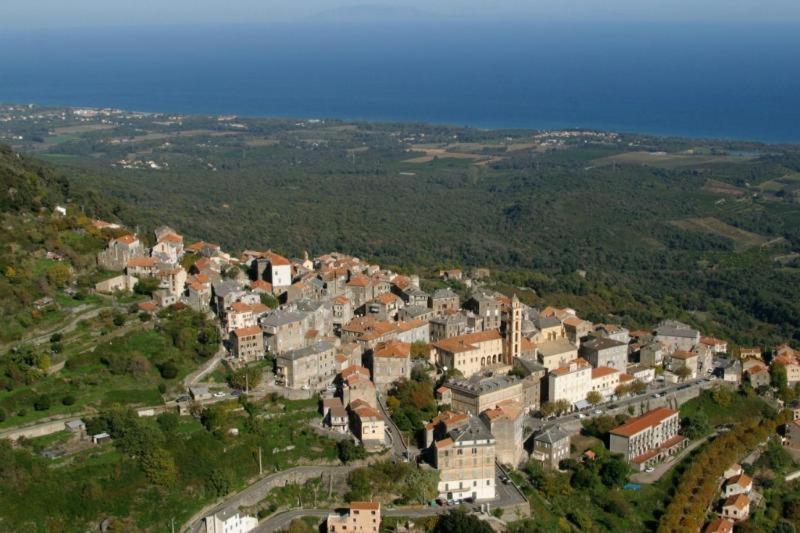 Villa Angelini Valle-di-Campoloro Eksteriør bilde